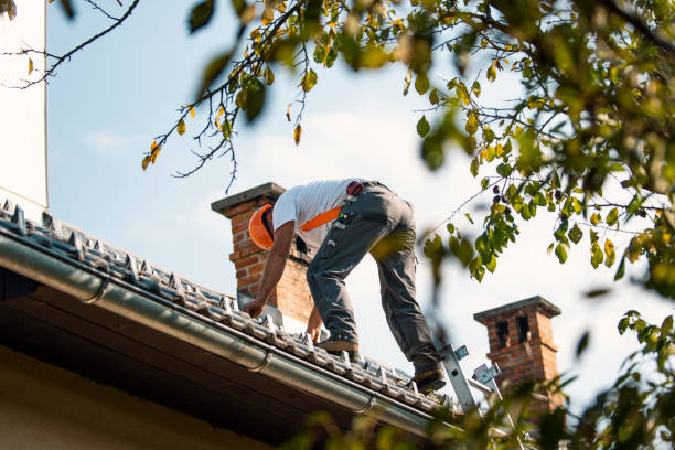 Best Siding  in Brownsboro, TX