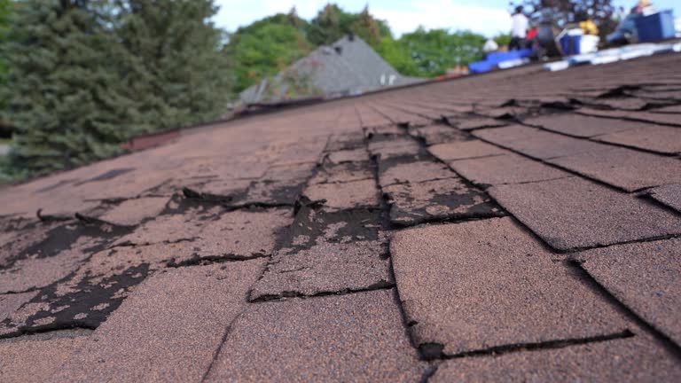 Best Roofing for New Construction  in Brownsboro, TX