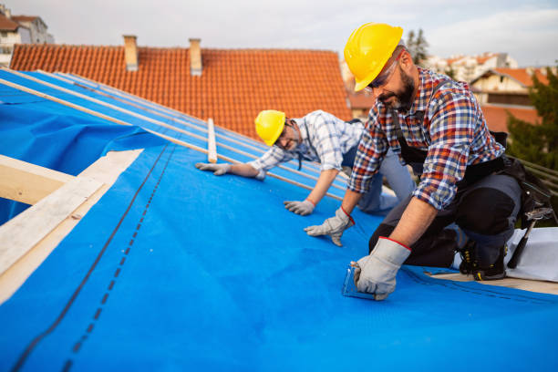 Best Roof Ventilation Installation  in Brownsboro, TX