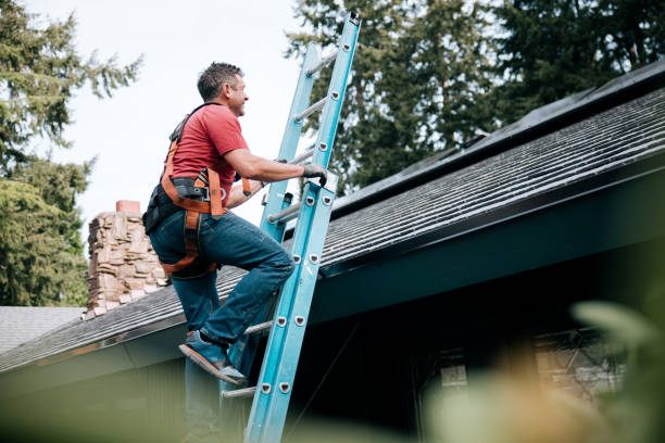 Best Solar Panel Roofing Installation  in Brownsboro, TX